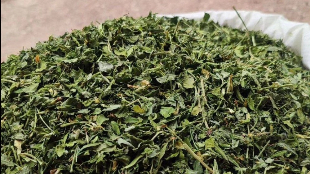 فروشگاه رز گل، فروش و پخش عمده سبزیجات خشک در شیراز