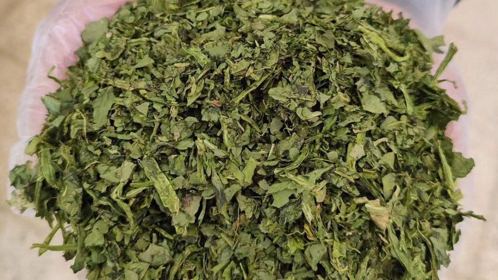 فروش انواع سبزیجات خشک در شیراز