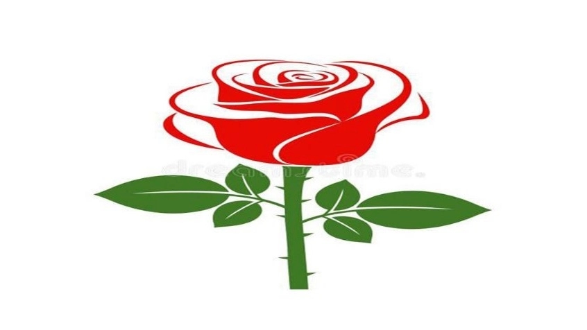 رزا گالری، فروش انواع لوازم آشپزخانه در شرق تهران