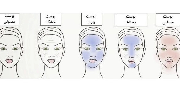 چه عواملی نوع پوست شما را مشخص میکنند؟