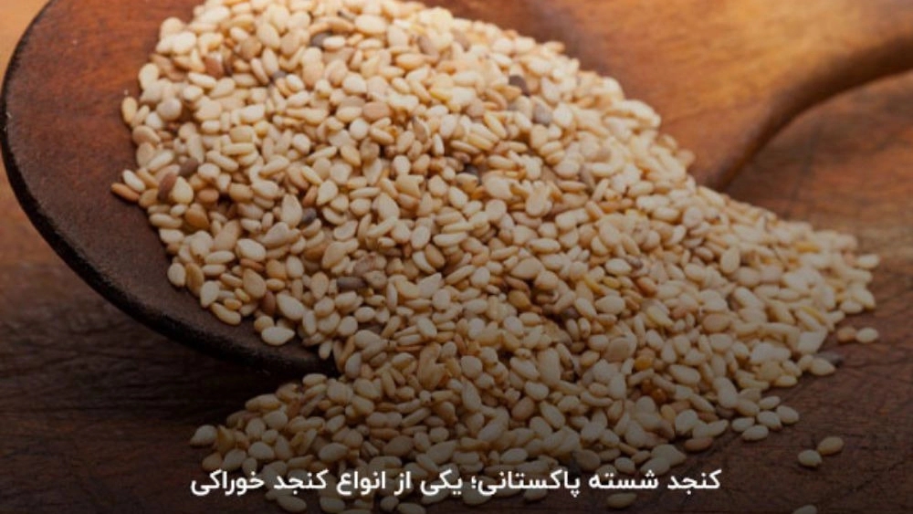 معرفی انواع کنجد در بازرگانی ساعتچی