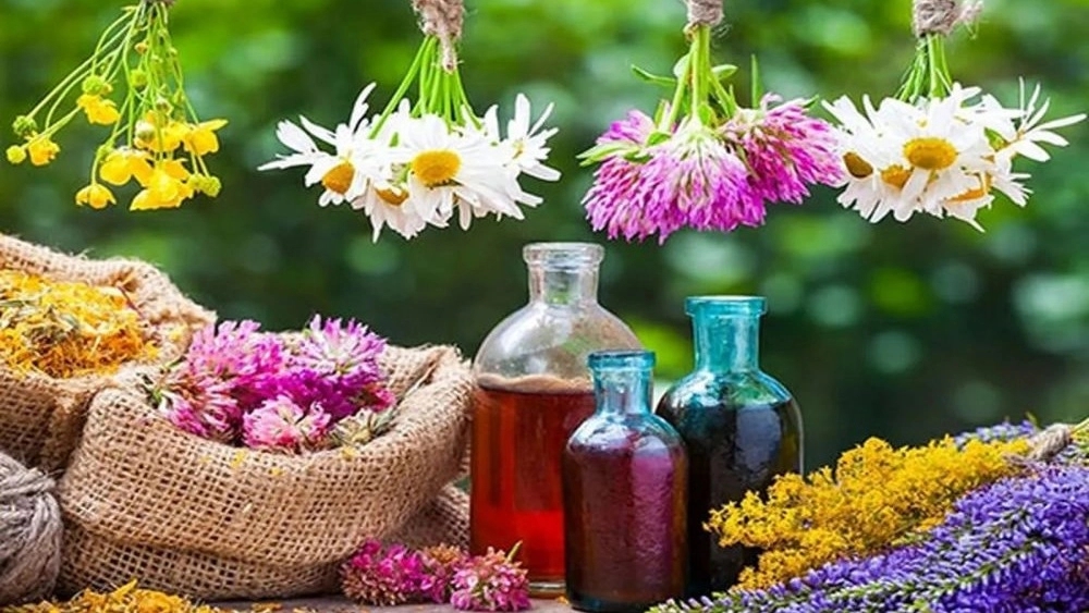 مزیت داروهای گیاهی