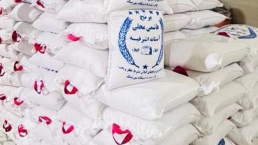 برنج هاشمی گیلان