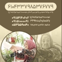موسسه معلولین امام جواد (ع) در شاندیز مشهد