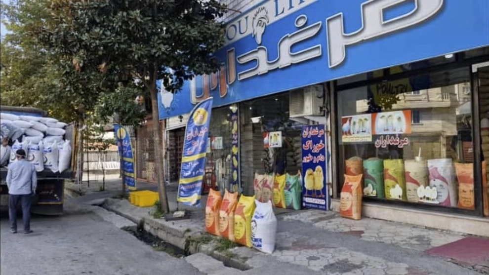 نقش و اهمیت مرغداران