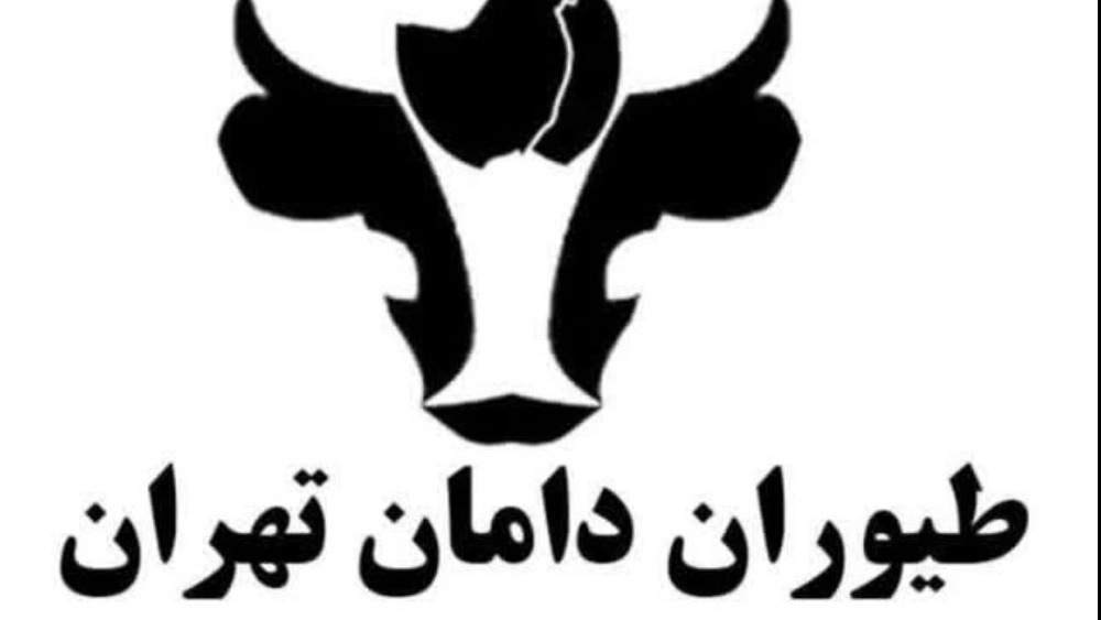 طیوران دامان تهران
