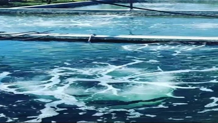تولید دیفیوزر هوادهی ماهی شاهین در اردبیل