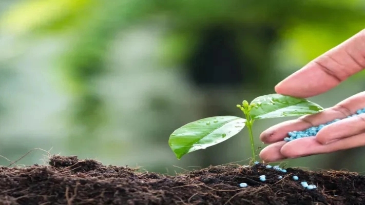 کودهای شیمیایی