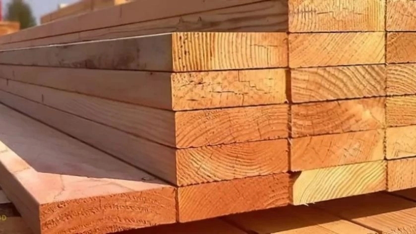 کالای چوب حشمتی، فروش چوب روسی راش و سپیدار در مشهد