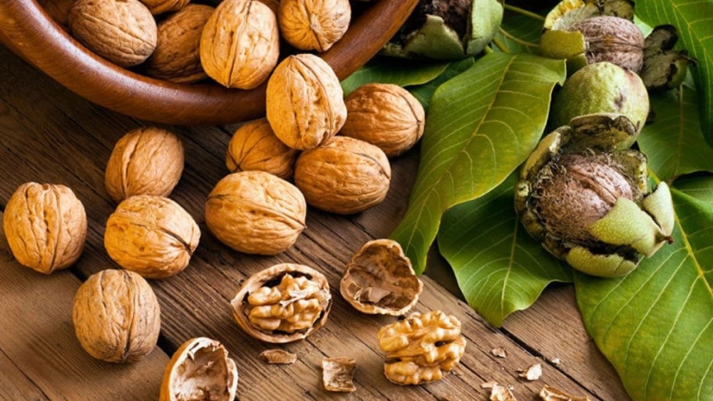 خرید عمده گردو از اکسپورت خسروی