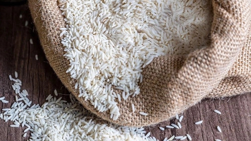 برنج بهاران، تولید و فروش برنج ایرانی و عنبربو در خوزستان