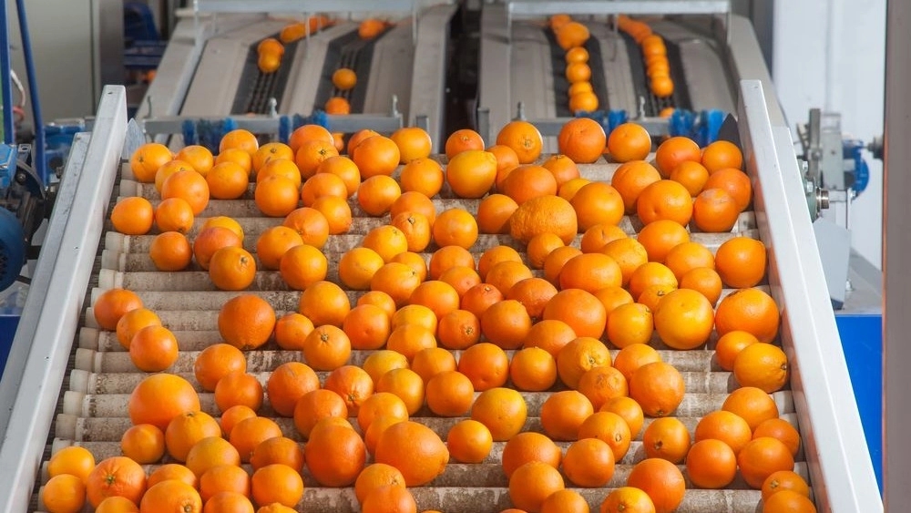 شرکت سبز ایران، بسته بندی فرآوری نگهداری و توزیع میوه و تره بار در جم