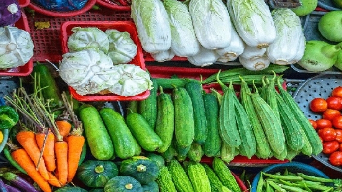 شرکت کیمیا دانه، متخصص اصلاح و تولید بذر پیاز سبزی و صیفی در تبریز