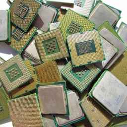 ضایعات مردی