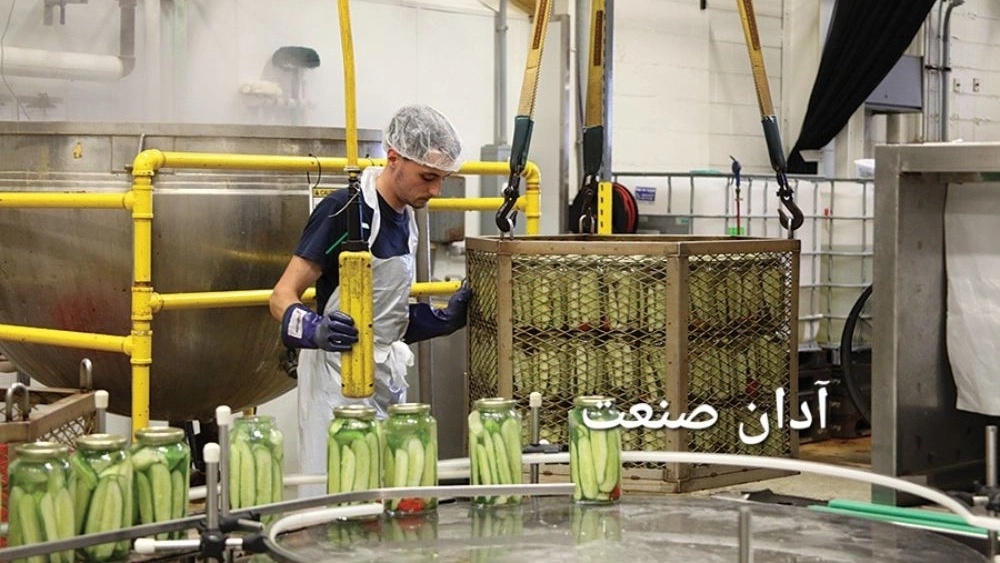 تولید خیارشور و ترشیجات با بستهبندی قابل بازیافت و راهکارهای صنعتی