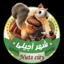 فروشگاه شهر آجیلی، فروش انواع آجیل و خشکبار در رشت