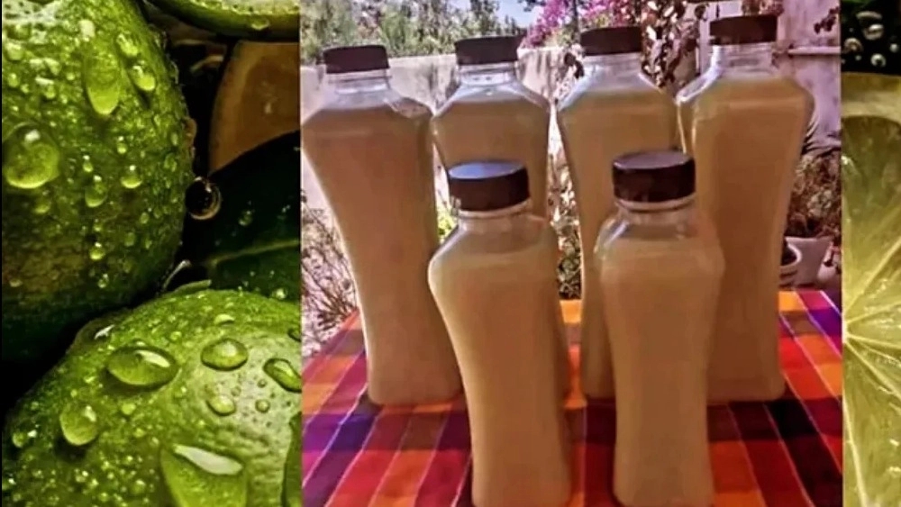 خرید ترشیجات خانگی با کیفیت در سبزی شمال 24 نوشهر