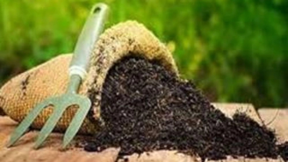 پخش امیری، فروش انواع خاک باغچه و گلدانی در شلمان