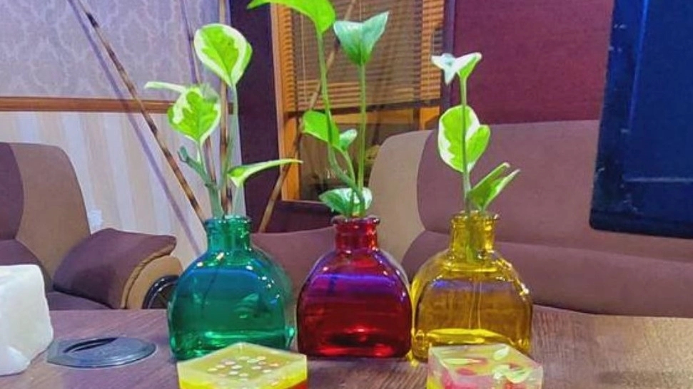 آموزشگاه ماد، آموزش گیاهان دارویی و طب سنتی و ماساژ در شیراز