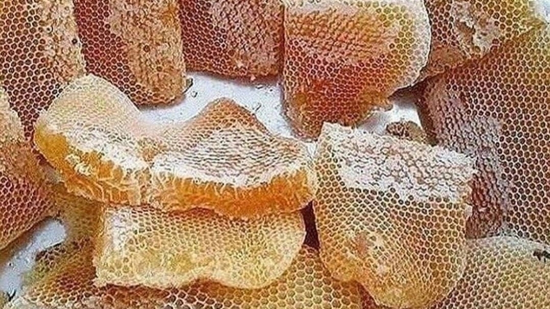 تولیدی عسل عابدی، تولید و فروش عسل طبیعی در مارمیشو ارومیه