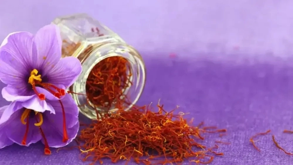 عرضه زعفران خالص ایرانی با قیمت رقابتی از خراسان جنوبی