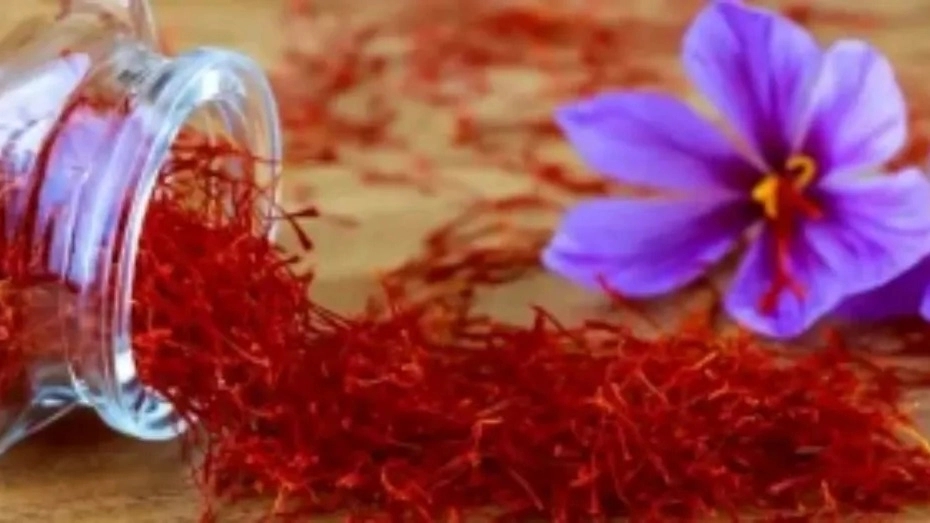 زعفران میرزایی، فروش زعفران زرشک هل در خراسان جنوبی