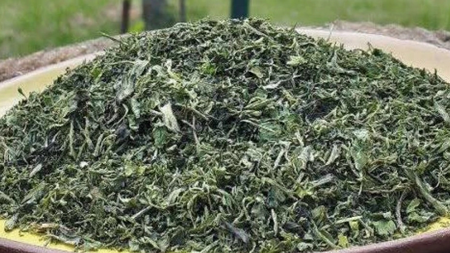 فروشگاه شومیا، فروش روغن خار مریم و جو دوسر در گلستان