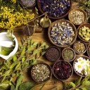 بازرگانی طاهری، خرید و فروش عمده گیاهان دارویی در شیراز