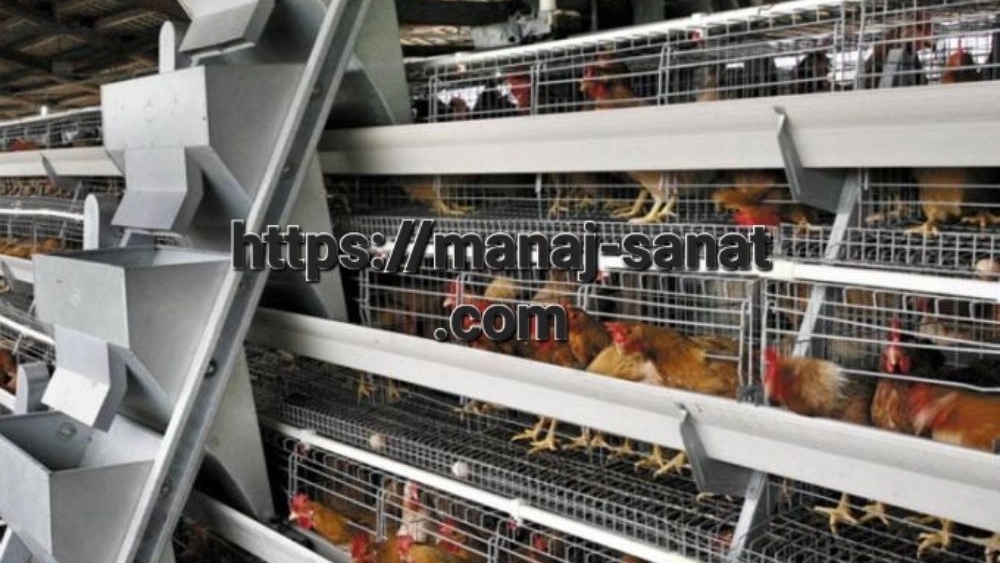 قفس مرغ گوشتی صنعتی با طراحی جدید در تبریز