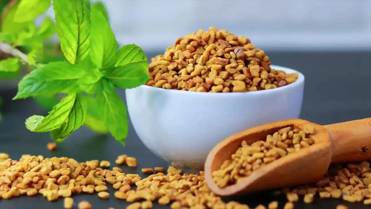 خرید شنبلیه خشک در خراسان رضوی