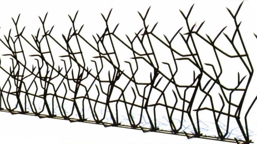 خرید حفاظ شاخ گوزنی با کیفیت