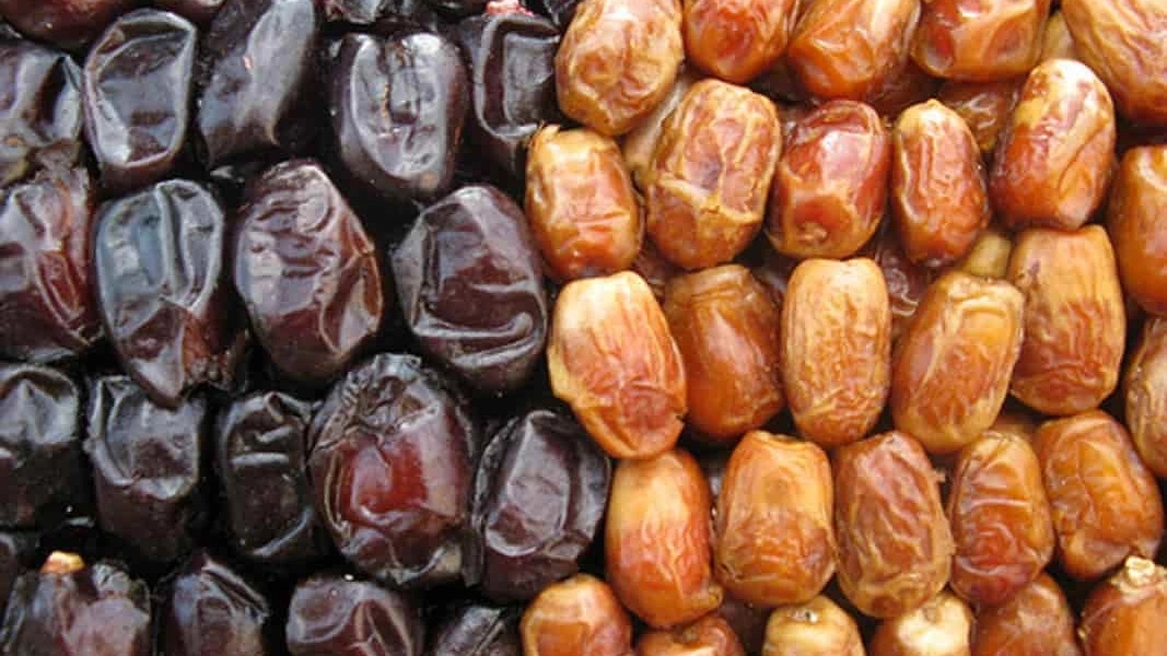 قیمت عمده و جزئی خرما مضافتی بم