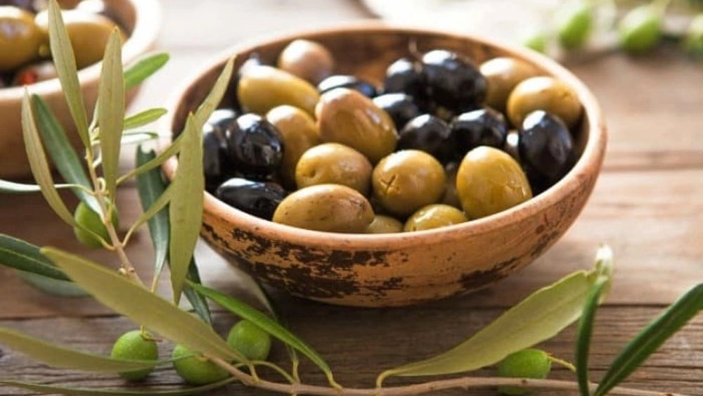 خرید عمده زیتون در رشت از فروشگاه کارن