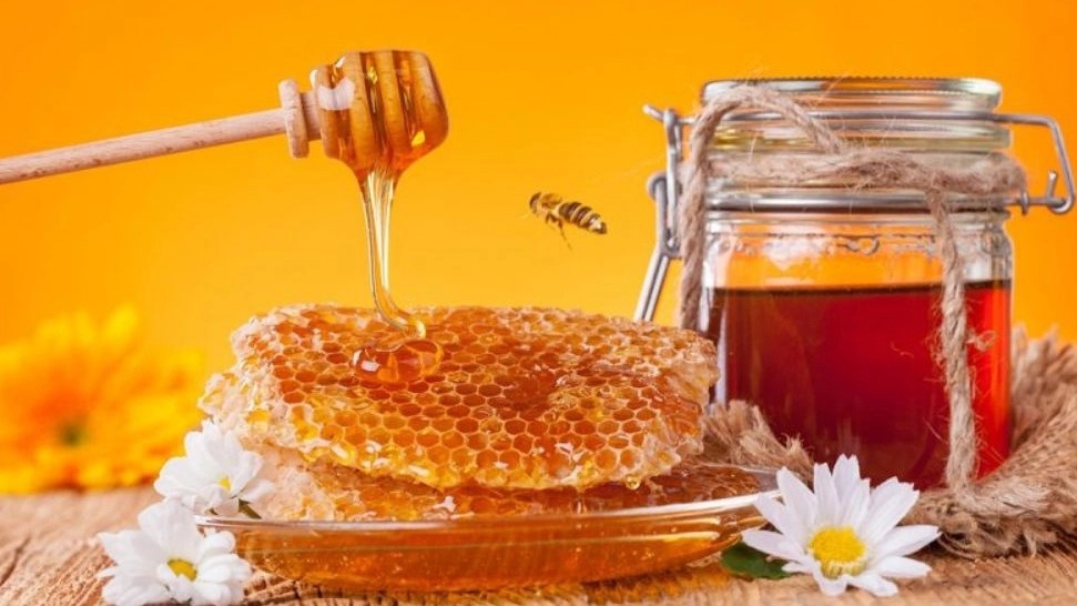 فروش آنلاین عسل طبیعی کوهی و زعفران اصل