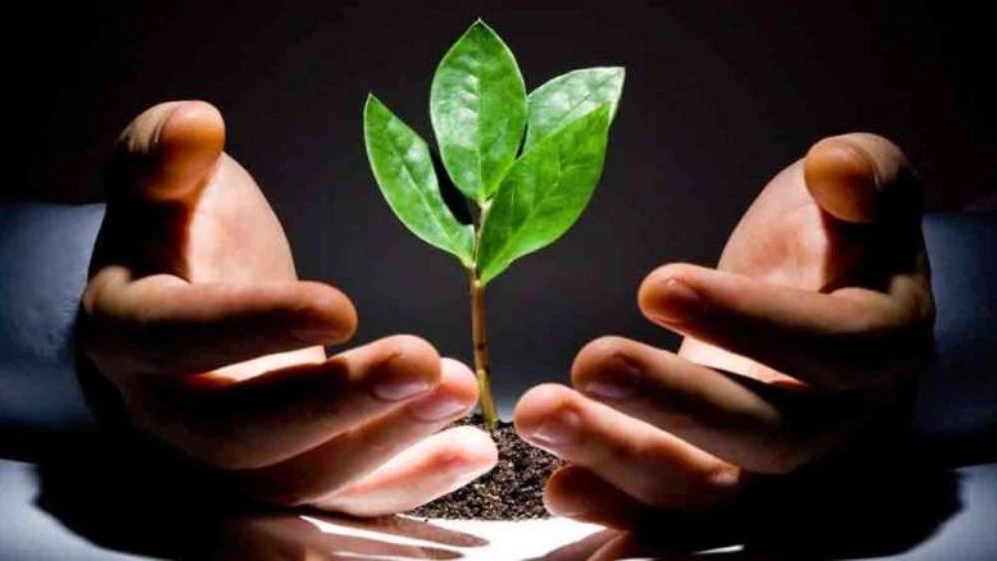 دکتر ترک اعتیاد طلوع سبز در دزفول