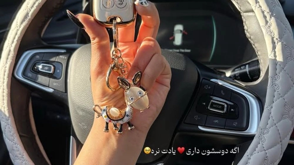 فروشگاه اکسسوری سوئیچک، فروش دورفرمان جاسوئیچی و کاور سوئیچ در تهران