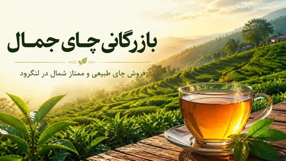 بازرگانی چای جمال، فروش چای طبیعی و ممتاز شمال در لنگرود