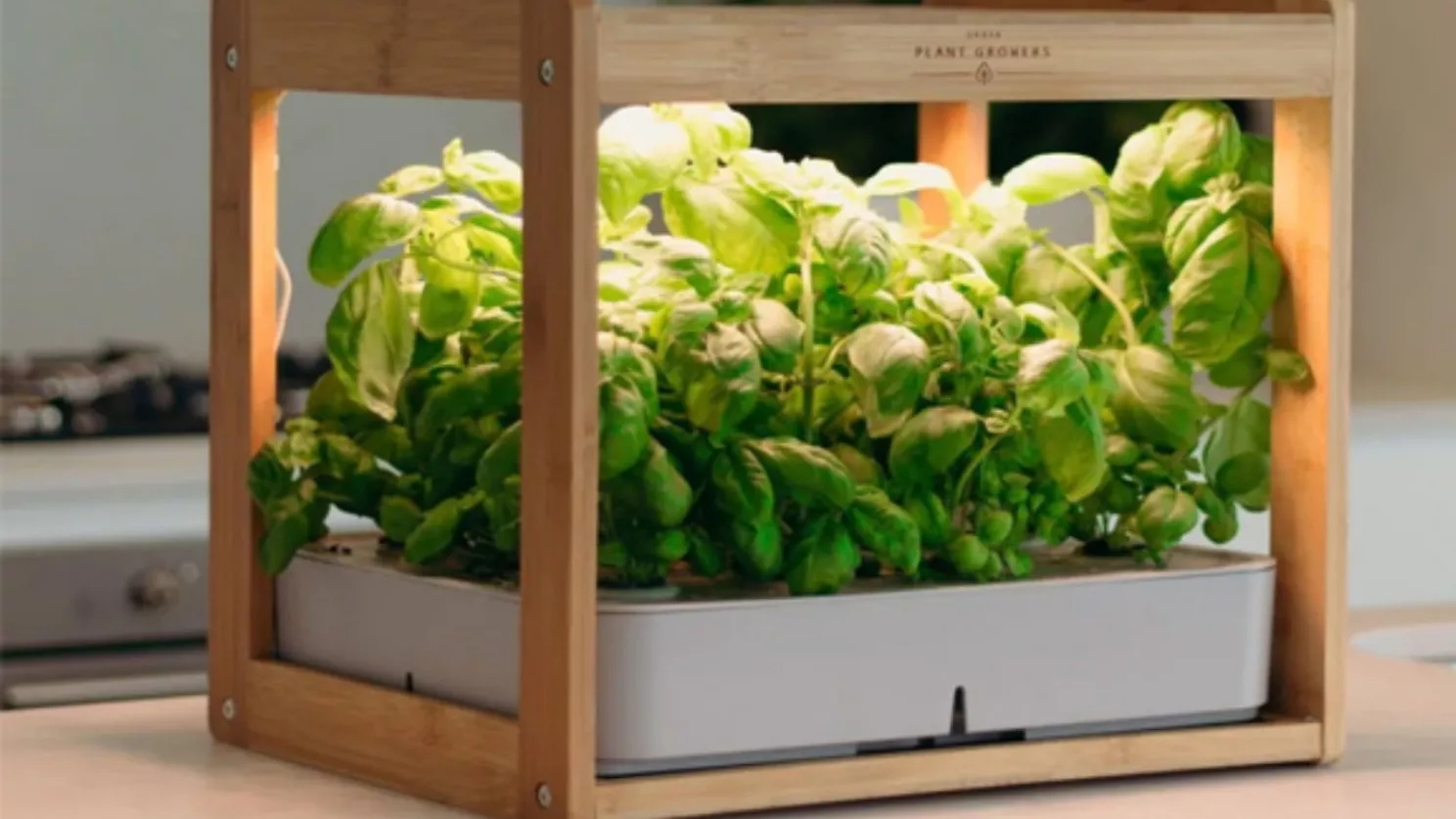 نور مصنوعی برای گیاه آپارتمانی