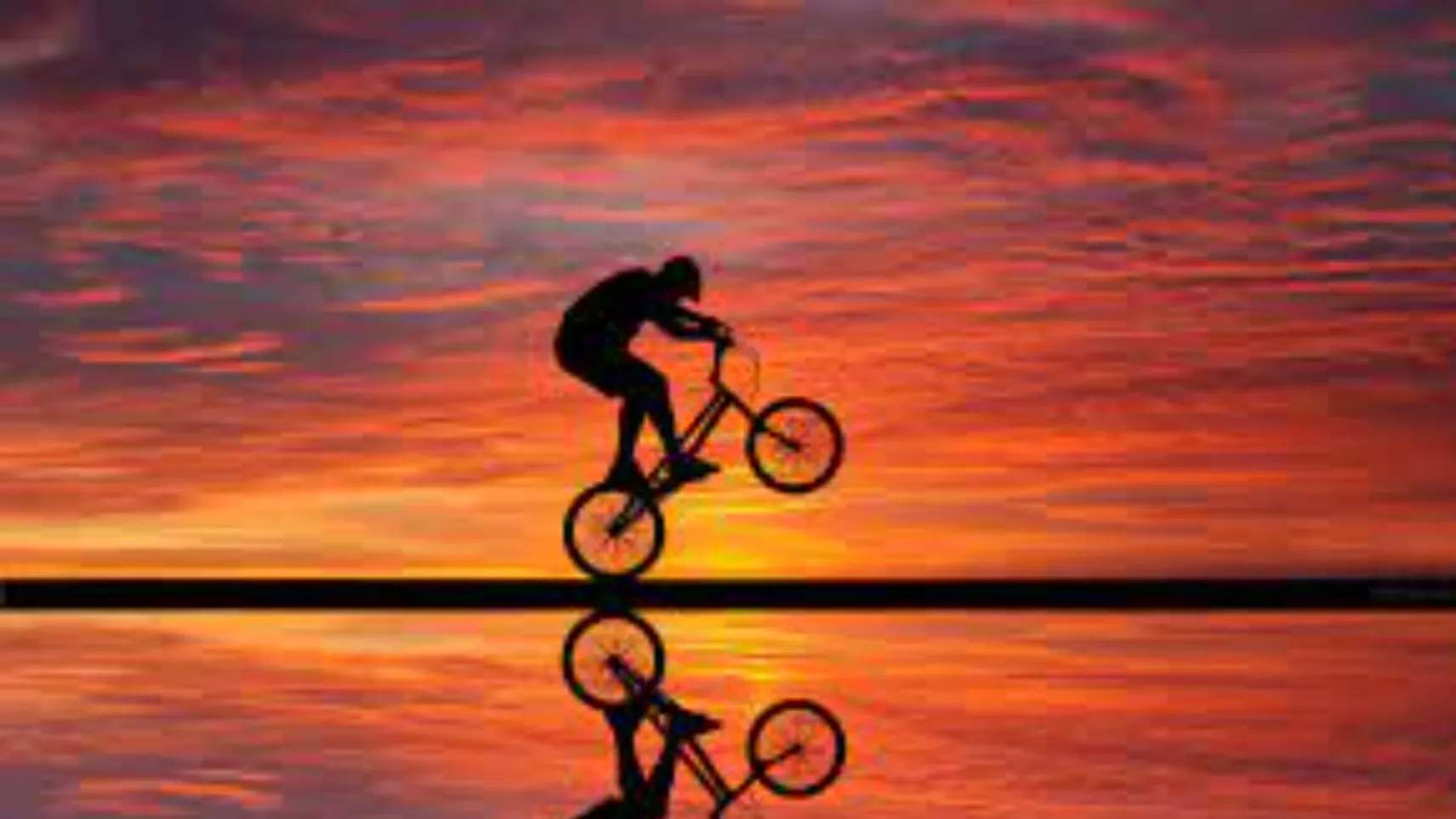 دوچرخه فروشی صادقی