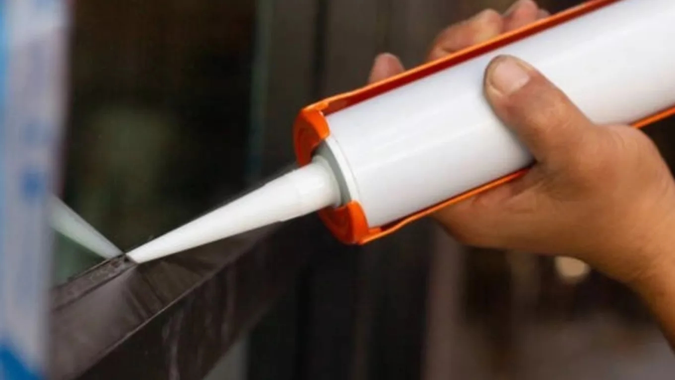 چسب آکواریوم چیست؟ انواع و کاربرد