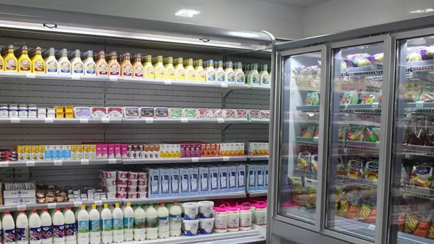 یخچال صنعتی