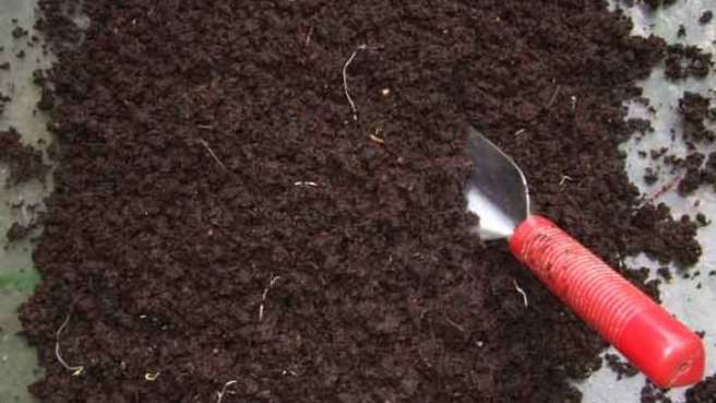 کود ارگانیک ارغوان