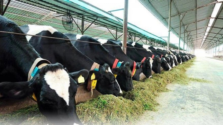 تجهیزات مورد نیاز دامداری