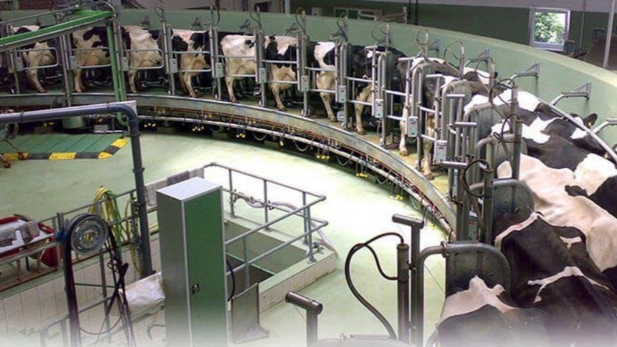 تجهیزات مورد نیاز دامداری