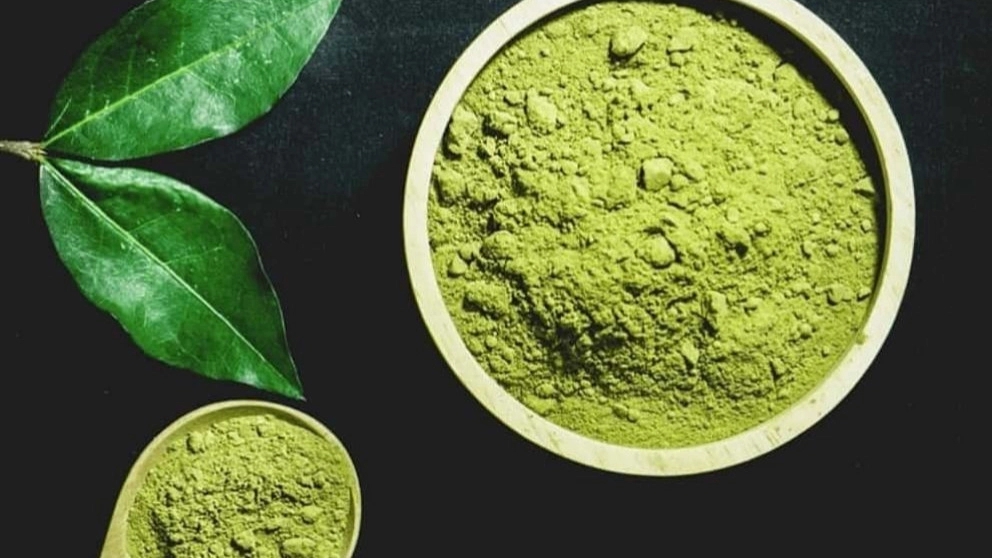 سیر تا پیاز خواص حنا برای سلامت انسان