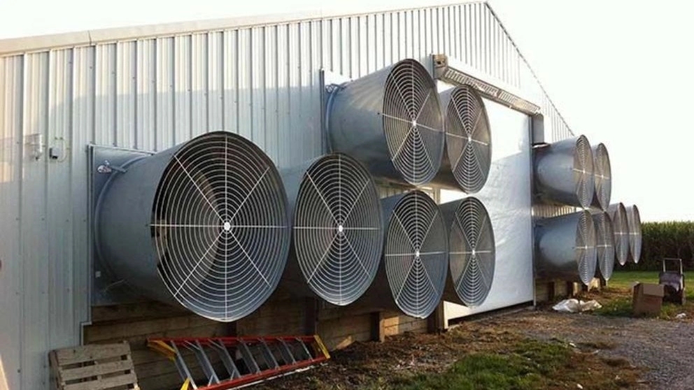 سیستم های تهویه در سالن مرغداری طبیعی