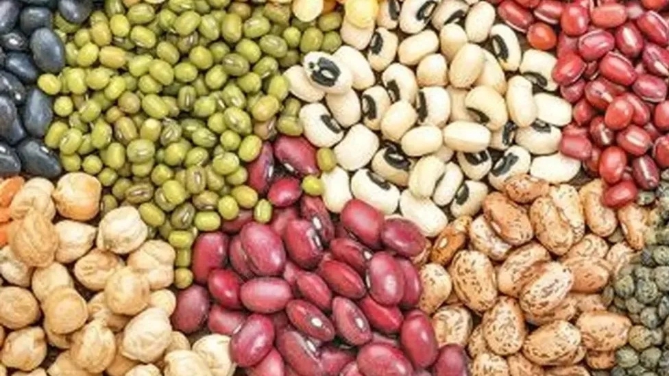 روش نگهداری حبوبات