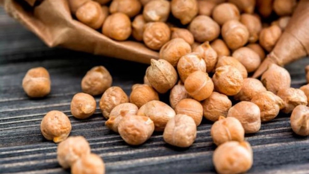 شرکت پخش نخود بذری درشت