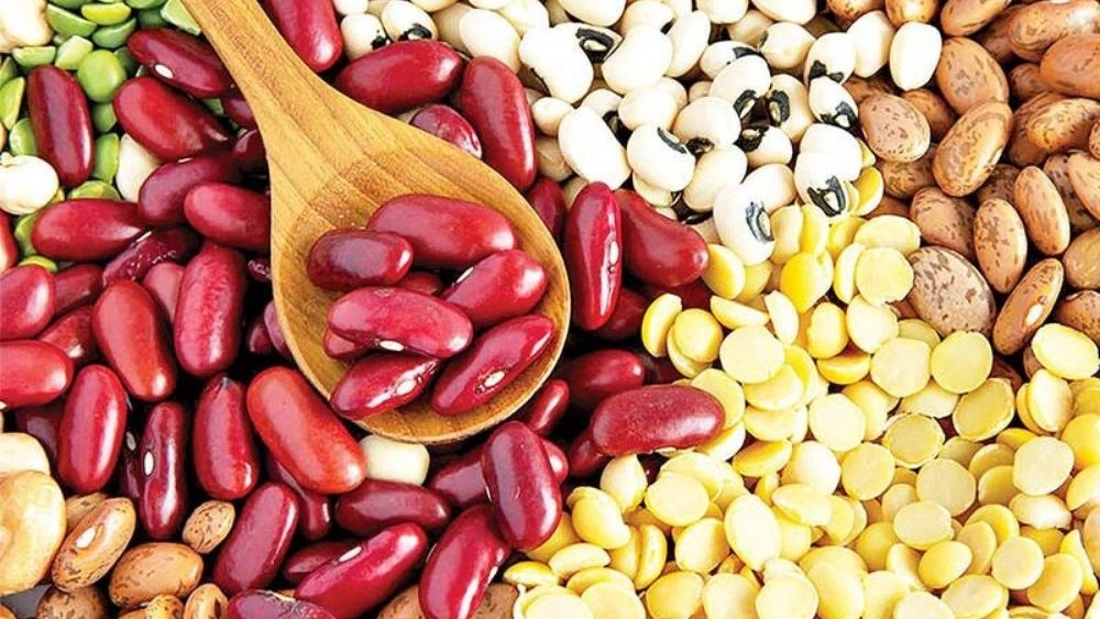 سورتینگ حبوبات؛ گامی نوین در بهبود کیفیت و بازاریابی محصولات کشاورزی