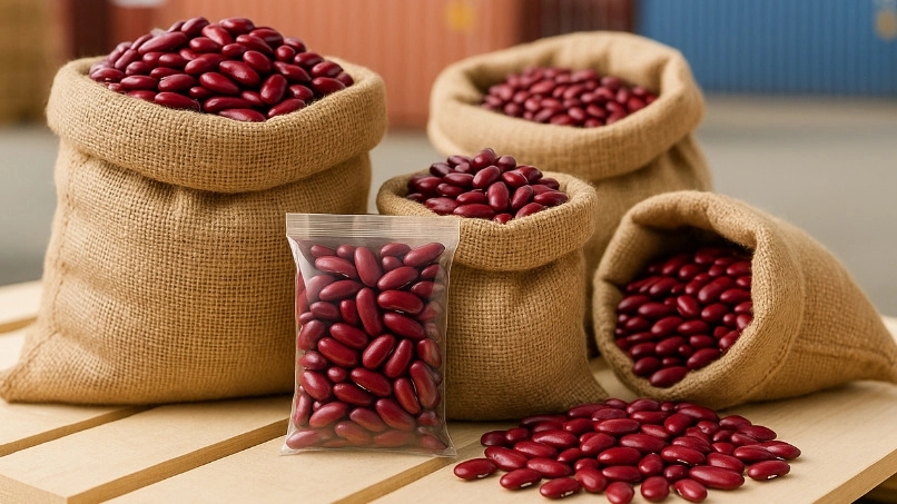 صادرات و فروش لوبیای قرمز